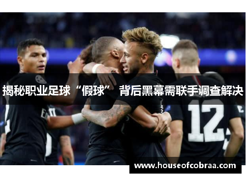 揭秘职业足球“假球” 背后黑幕需联手调查解决